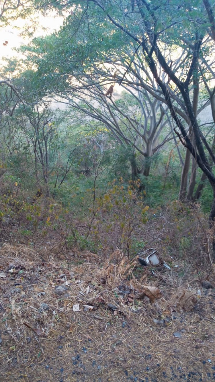 Camioneta cae a un barranco