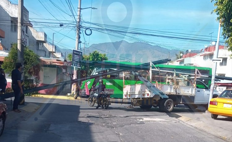 Le meten un monten o viga a camión urbano en Inf Los Fresnos por el parabrisas del frente.