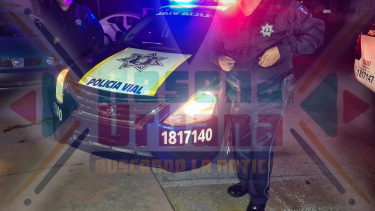 ÁRBOL SE IMPACTA A CAMIONETA DE LUJO AL CRUZAR LA INSURGENTES