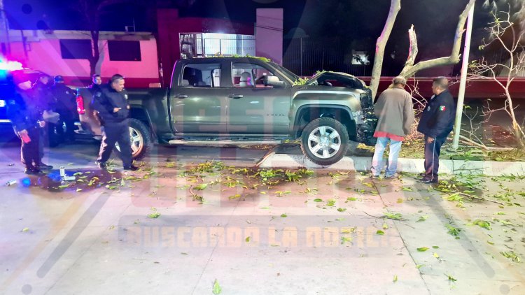 ÁRBOL SE IMPACTA A CAMIONETA DE LUJO AL CRUZAR LA INSURGENTES