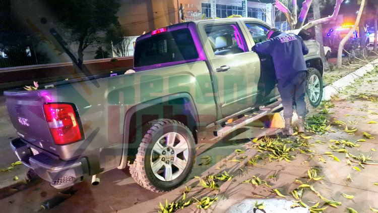 ÁRBOL SE IMPACTA A CAMIONETA DE LUJO AL CRUZAR LA INSURGENTES