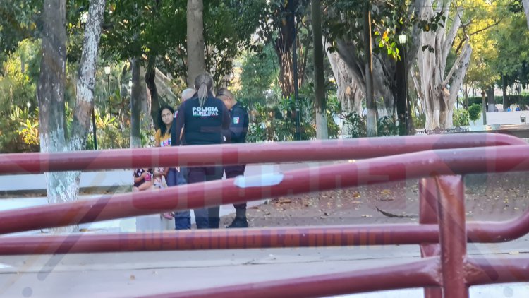 POR DIVERSOS ABUSOS SEXUAL DETIENEN A DEGENERADO ABUELO EN LA ALAMEDA