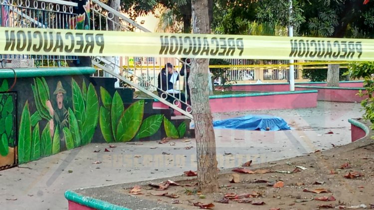 ASESINAN AL "PADRINO"  AL DEJARLE CAER UNA PIEDRA EN LA CABEZA