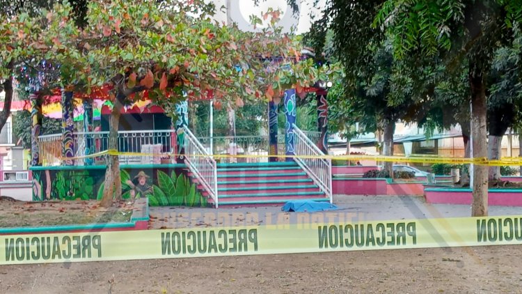 ASESINAN AL "PADRINO"  AL DEJARLE CAER UNA PIEDRA EN LA CABEZA