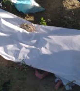 Hallan 6 cuerpos de recién nacidos a la entrada de cementerio