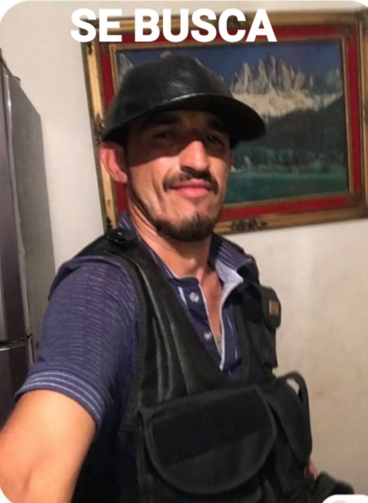 DEJA QUE SE ENFRÍE TODO Y SERAS LA CENA DE UN CAIMÁN QUE TENGO