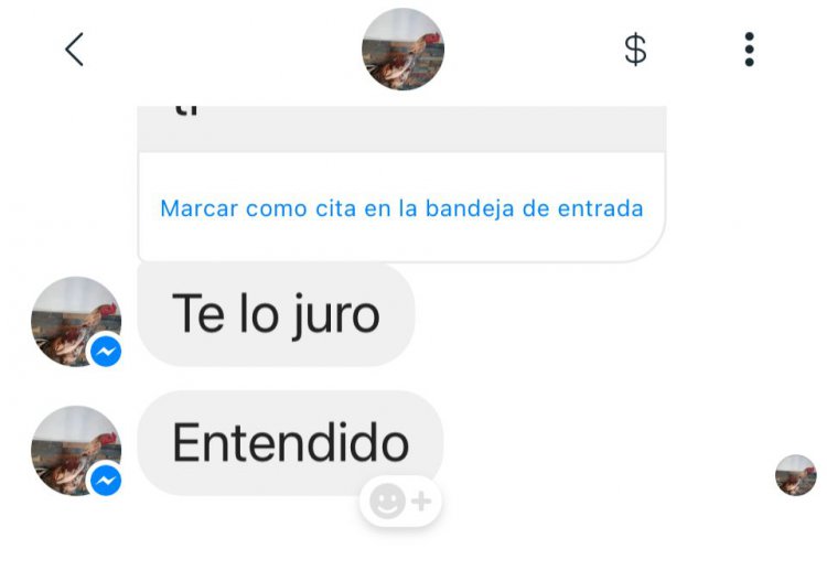 DEJA QUE SE ENFRÍE TODO Y SERAS LA CENA DE UN CAIMÁN QUE TENGO