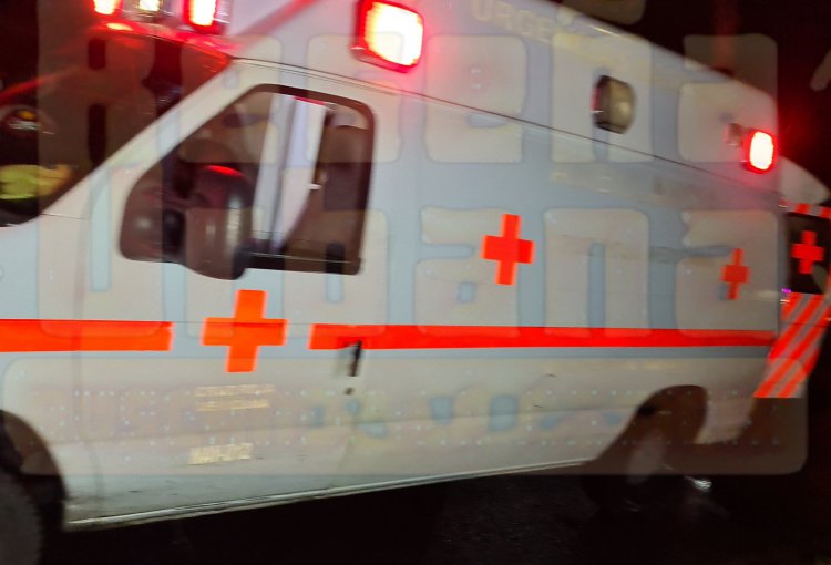 ATACAN DE NUEVO LA JAURIA DE CANES