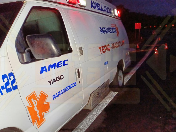 LO DESTROZA UN CAMIÓN EN LA AUTOPISTA TPC-MZT