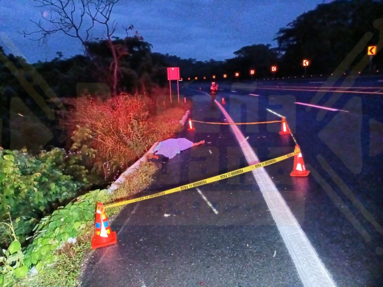 LO DESTROZA UN CAMIÓN EN LA AUTOPISTA TPC-MZT