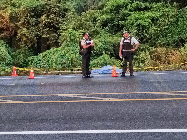 LO DESTROZA UN CAMIÓN EN LA AUTOPISTA TPC-MZT