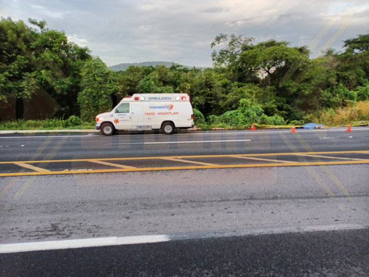 LO DESTROZA UN CAMIÓN EN LA AUTOPISTA TPC-MZT