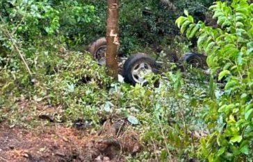 CAE A BARRANCO EN LA CARRETERA FEDERAL 200 TPC-PTO VALLARTA
