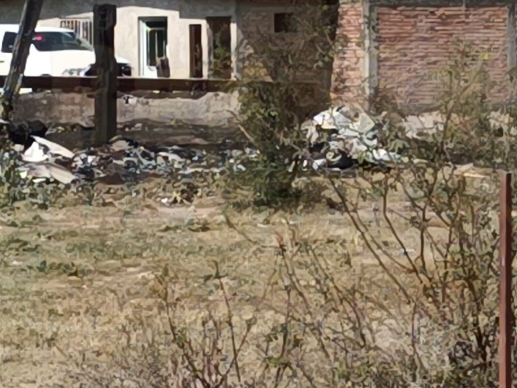4 PERSONAS SIN VIDA AL CAER AVIONETA EN XALISCO