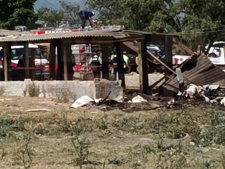 4 PERSONAS SIN VIDA AL CAER AVIONETA EN XALISCO