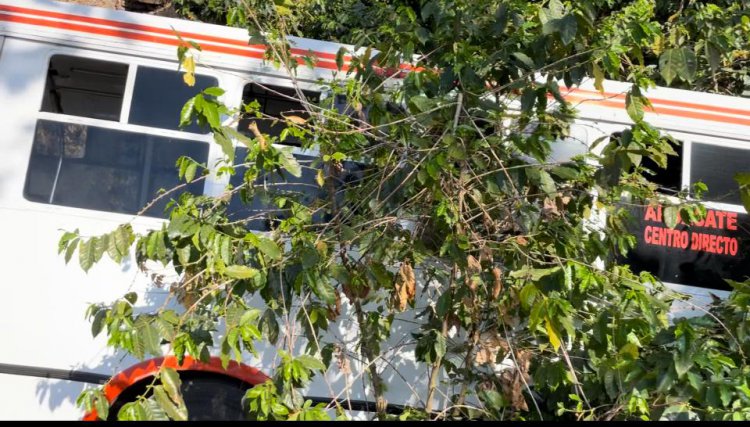 16 LESIONADOS EN ACCIDENTE EN LA 76 TPC-MIRAMAR