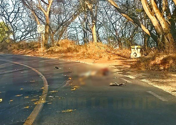 TRÁILER MATA A MOTOCICLISTA EN LA FEDERAL 200  TPC-PTO VALLARTA